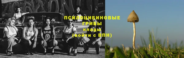 а пвп мука Медногорск