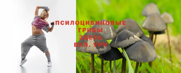 а пвп мука Медногорск