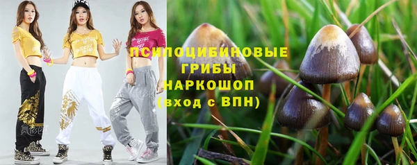 а пвп мука Медногорск