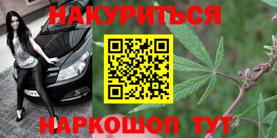 прущие крисы Гай