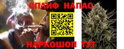 СК Гагарин