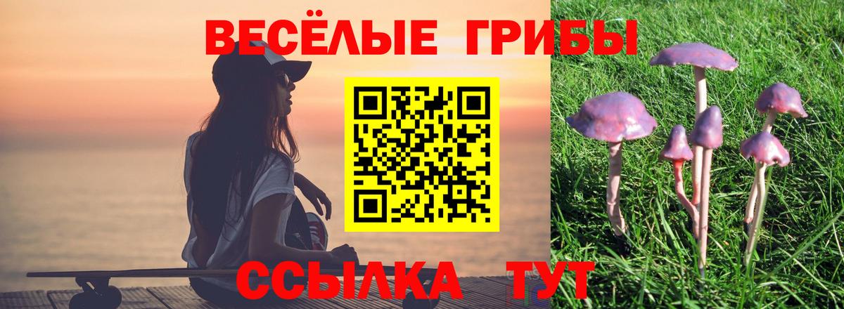 Псилоцибиновые грибы ЛСД  Вход с VPN  Псилоцибиновые грибы прущие грибы  Стерлитамак 